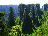 Ԭ�ҽ��L��