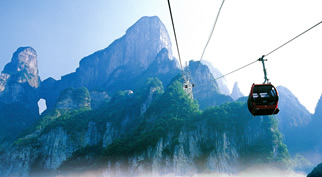 ���Tɽ��(gu��)��ɭ�ֹ��@